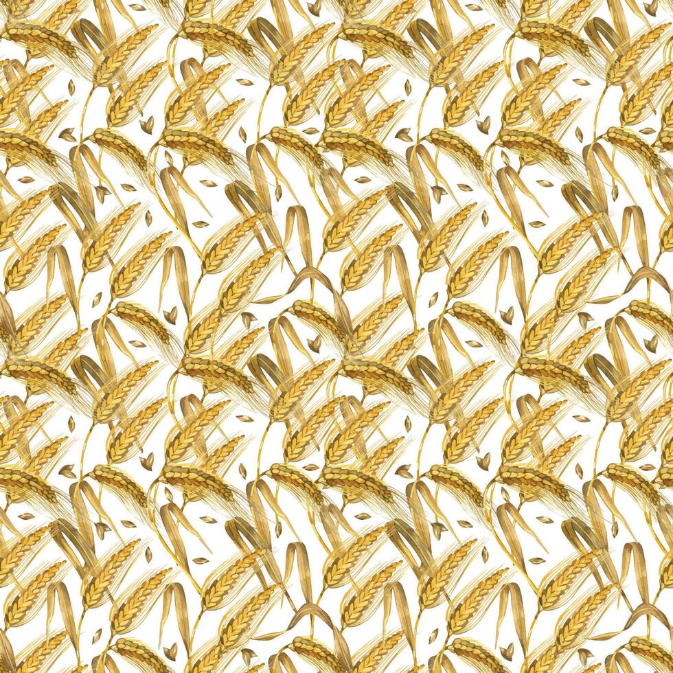 Seamless watercolor pattern. Wheat ears, ripe wheat grains hand painted in watercolor and isolated on white background. Suitable for printing on fabric, kitchen textiles, scrapbooking vector