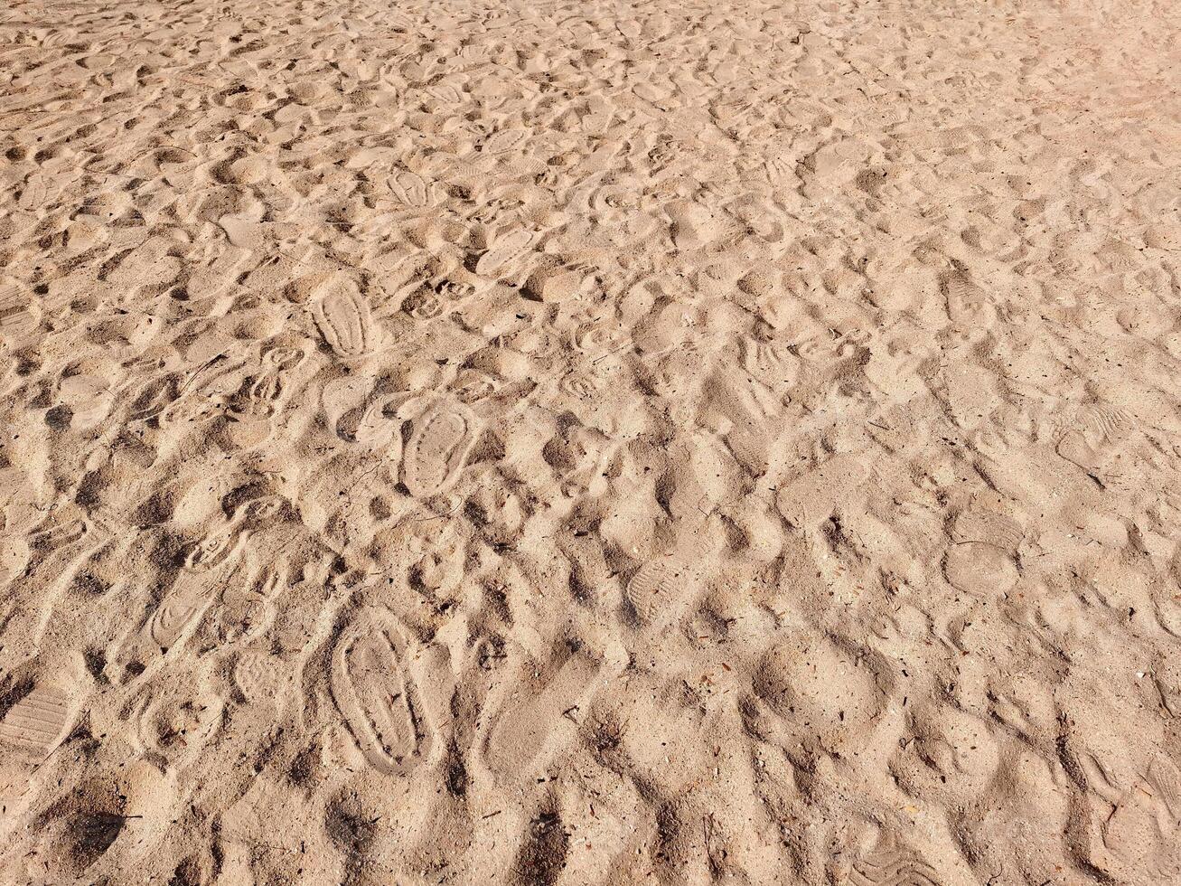 Beach sand texture, empty sand background. photo