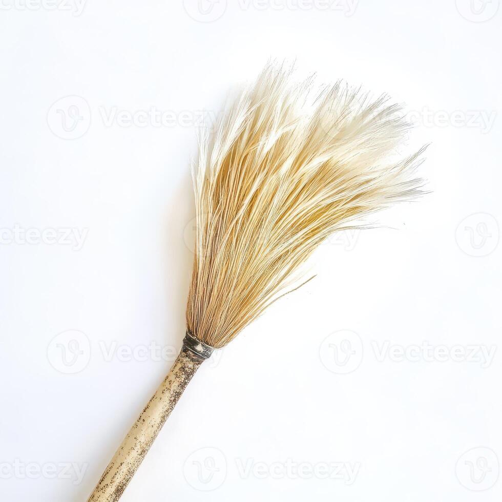 A white brush with a long feather on it photo