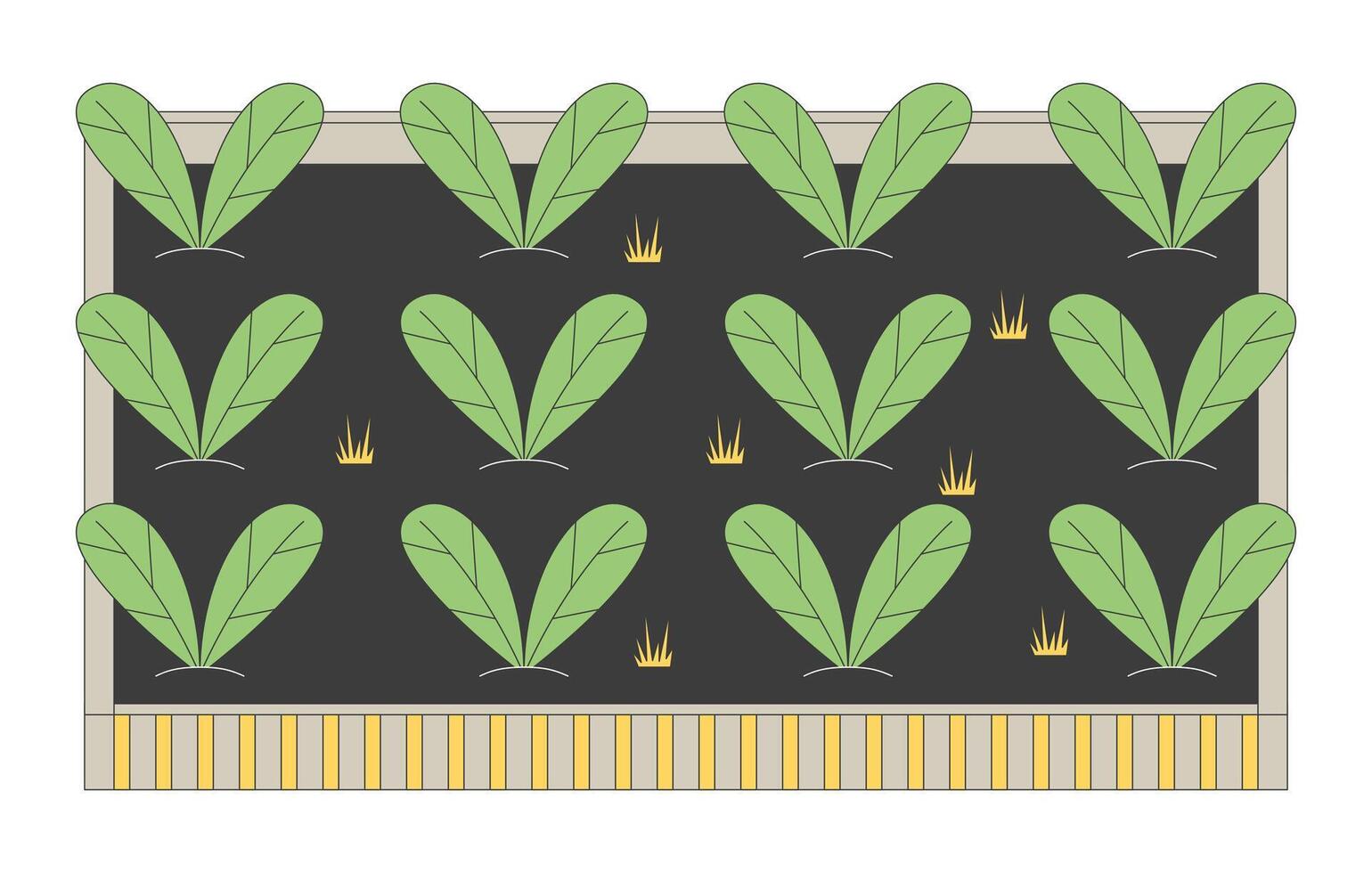Leafy greens vegetable garden bed 2D cartoon object. Organic farming. Sustainable food production. Backyard gardening leaves veggies isolated element flat clip art on white. Spot illustration vector
