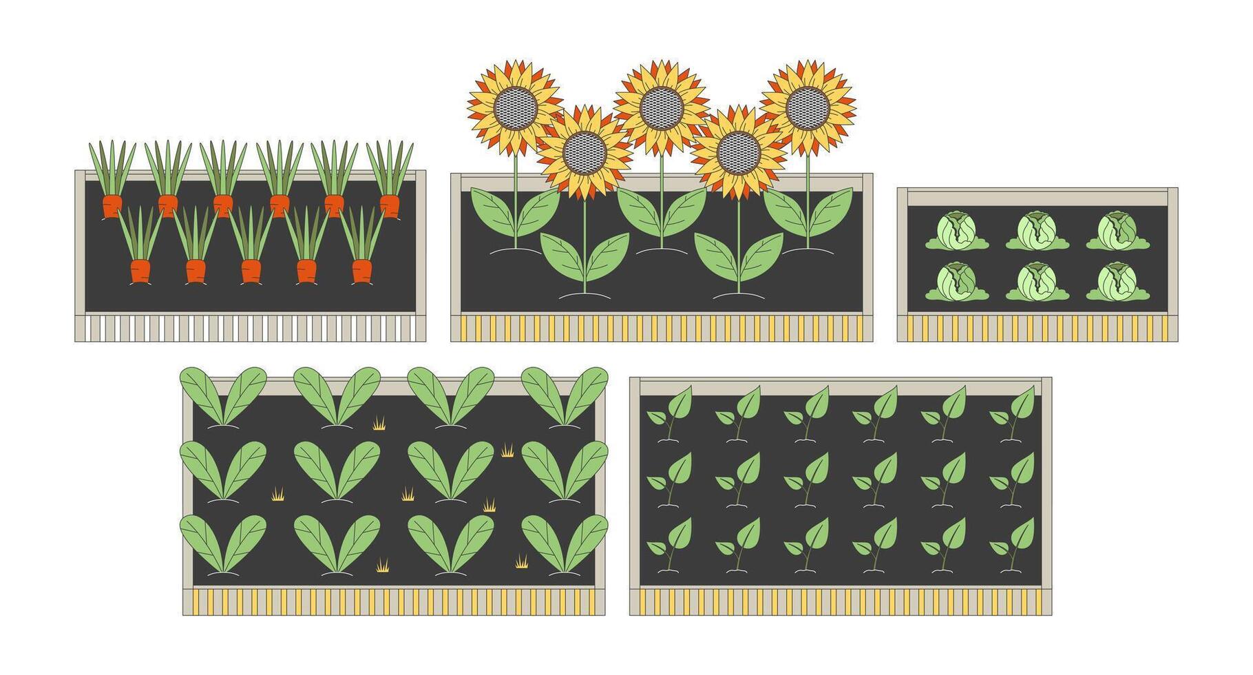 Raised garden beds with vegetables and sunflowers 2D cartoon objects set. Organic farming, sustainable agriculture isolated elements flat clip arts on white. Spot illustrations collection vector