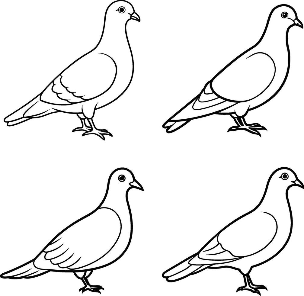 Bird Outline Sketch Line Art Drawing Collection of Various Birds vector