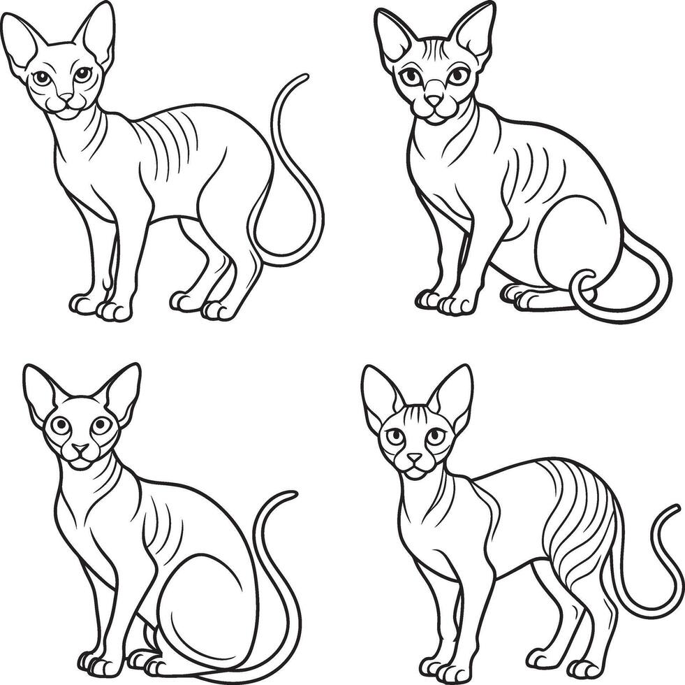 Feline Line Drawing Collection Adorable Cat Outline Set vector