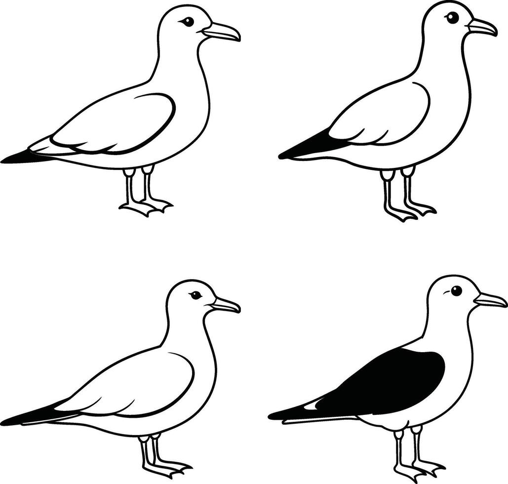 Bird Art Outline Pack Line Drawing Collection of Birds vector