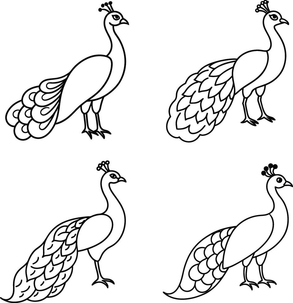 Bird Illustration Line Drawing Outline Art Collection of Birds vector