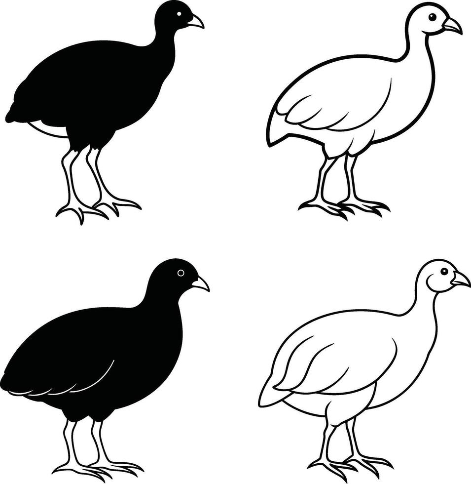 Bird Line Drawing Collection Outline Illustration Set of Birds vector