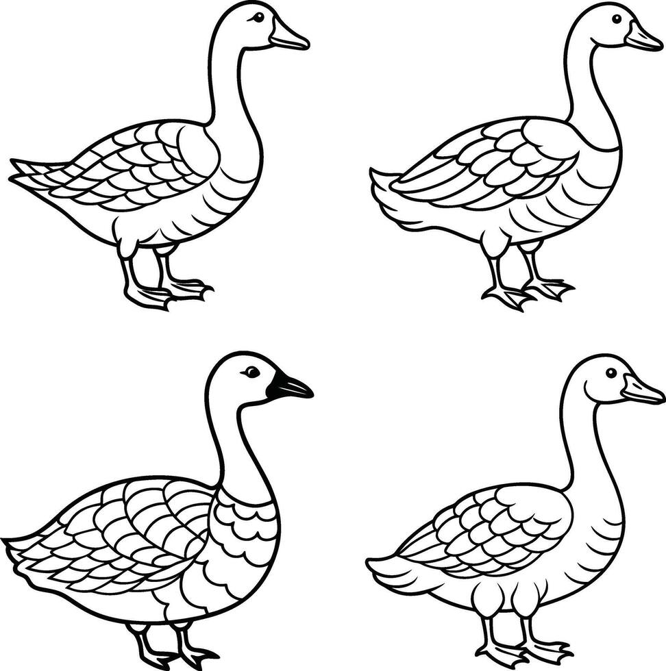 Bird line drawing sheet bundle vector