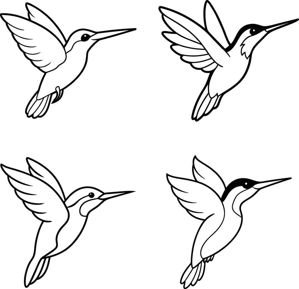 Bird Illustration Line Art Outline Drawing Set of Various Birds vector