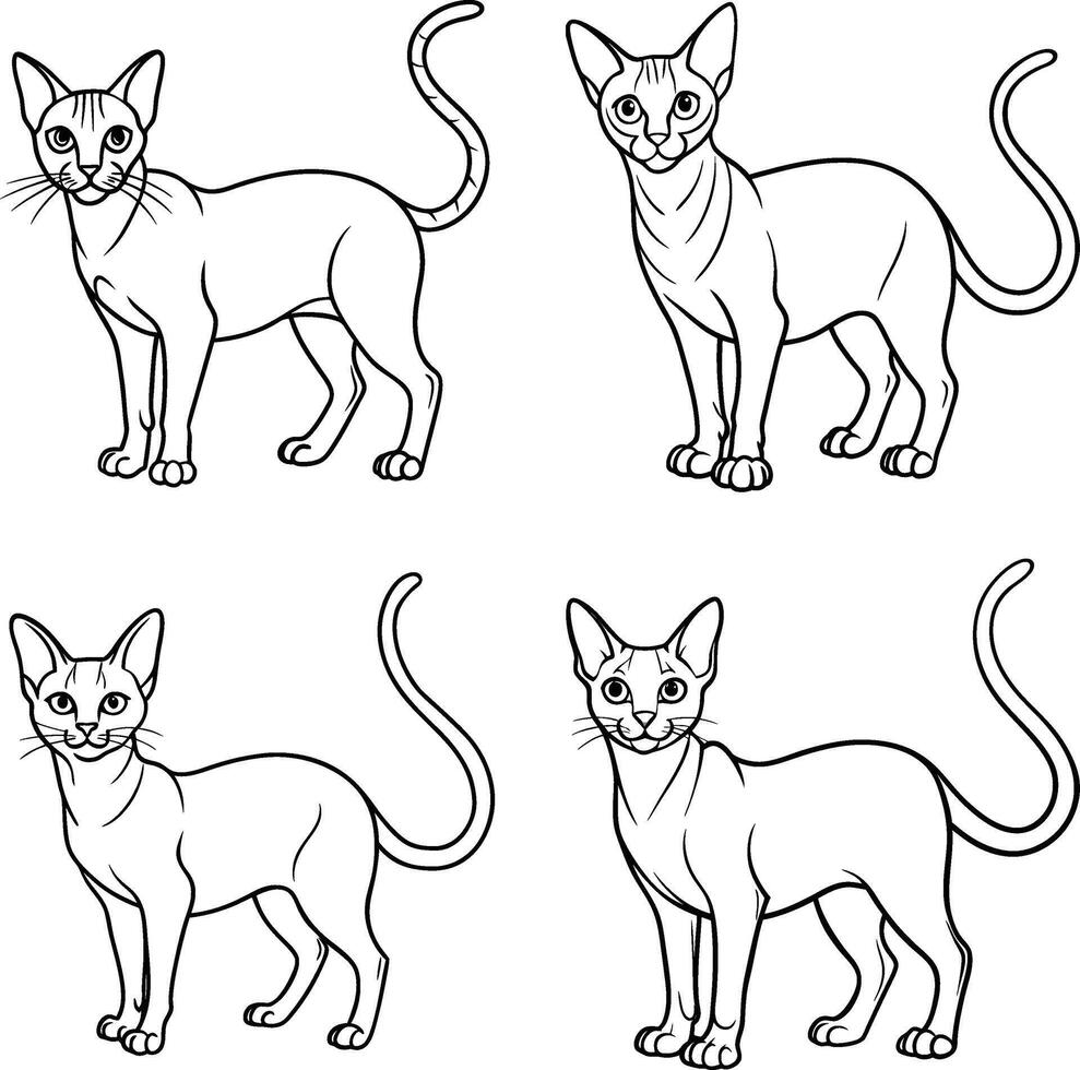 Cute Cat Drawing Collection Feline Outline Art Set vector