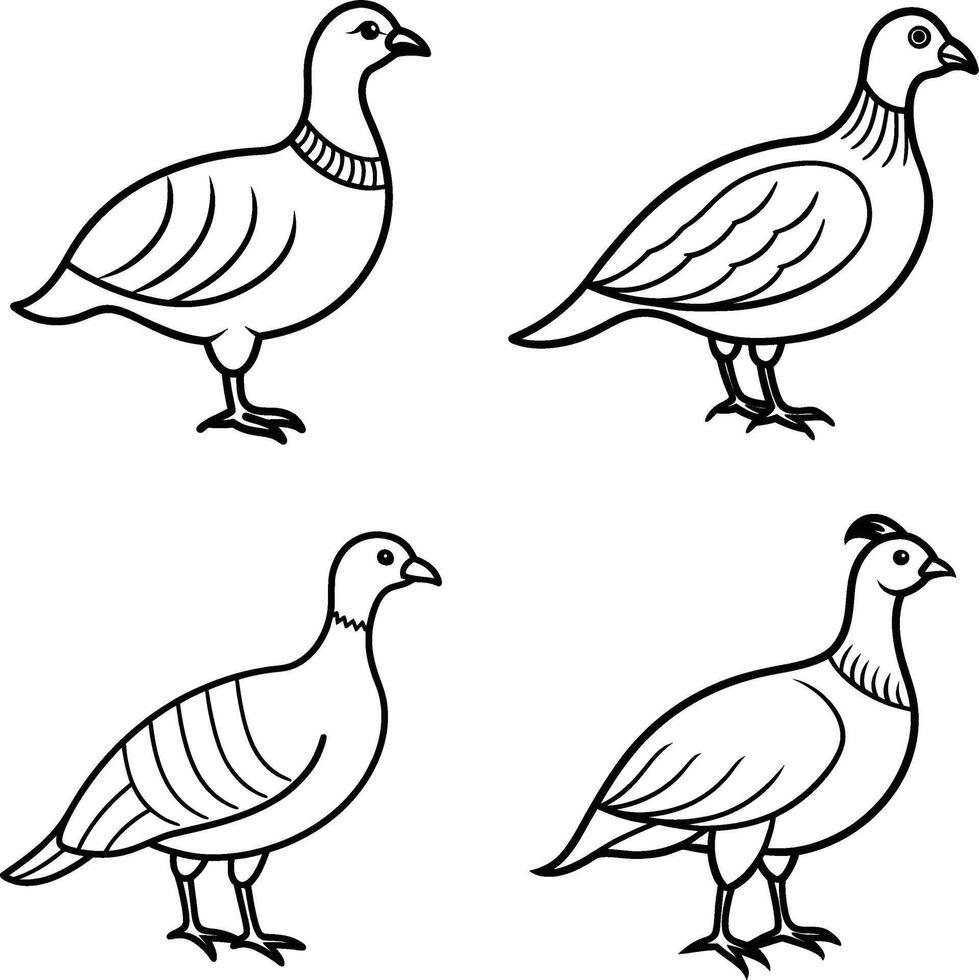 Bird Outline Art Set Line Drawing Collection of Birds vector