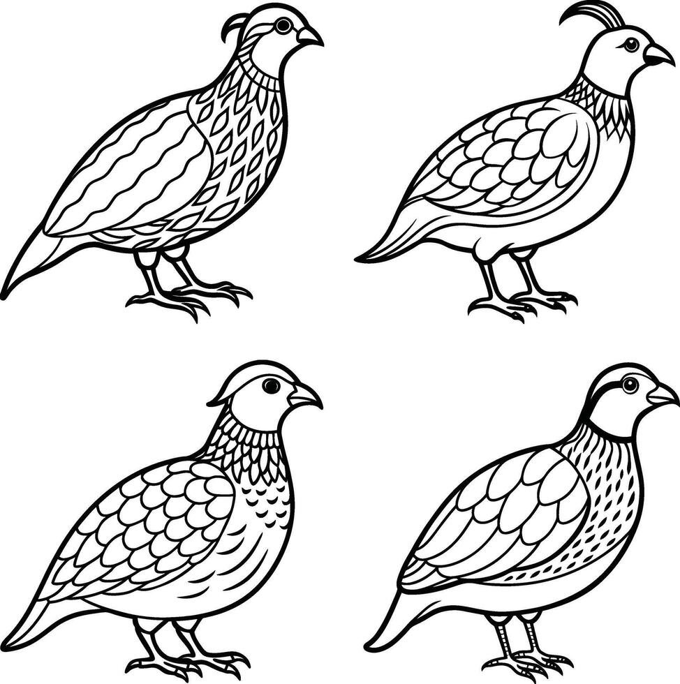 Compilation of bird line art designs vector