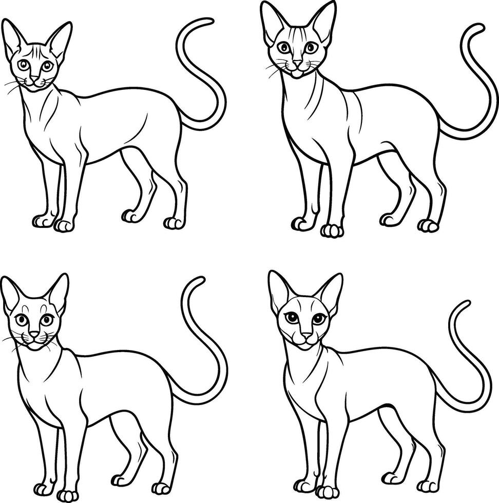 Cat Outline Illustration Collection Feline Drawing Set vector