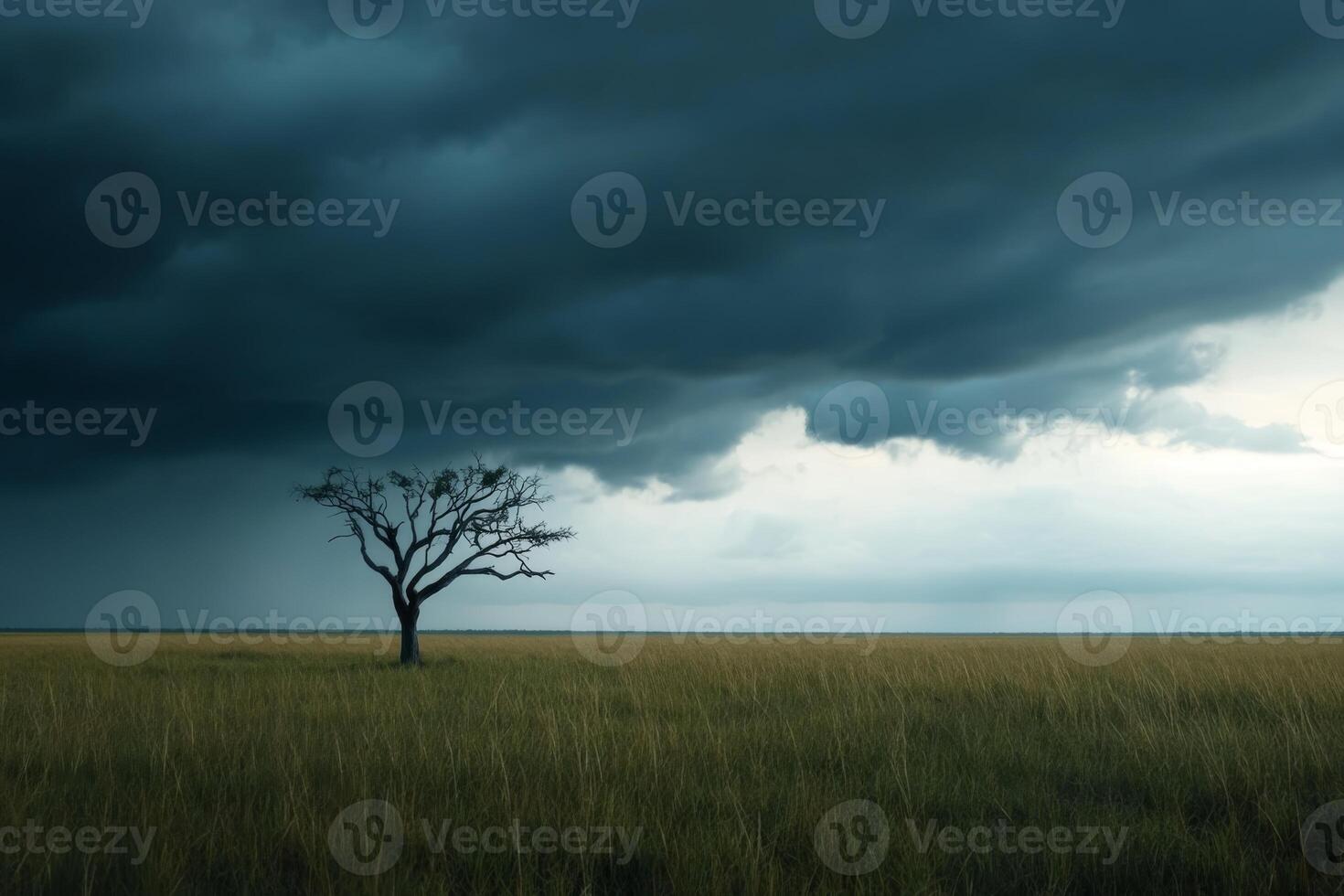 Dark storm clouds gather over a lonely tree in an open field at dusk photo