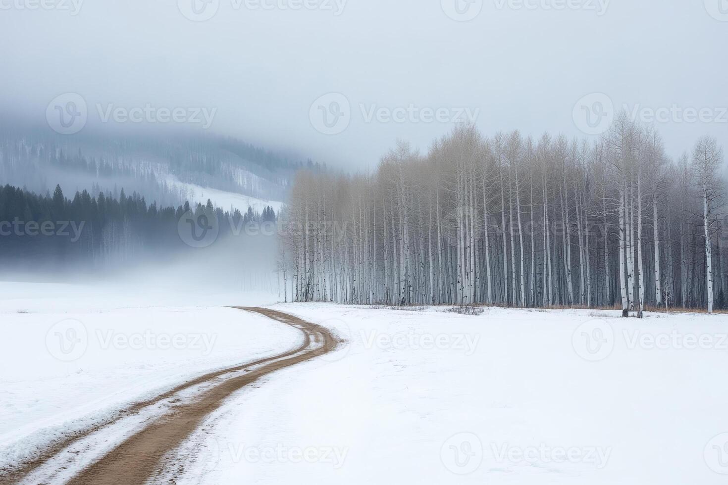 Winding dirt road through snowy landscape at dusk with mist and barren trees nearby photo