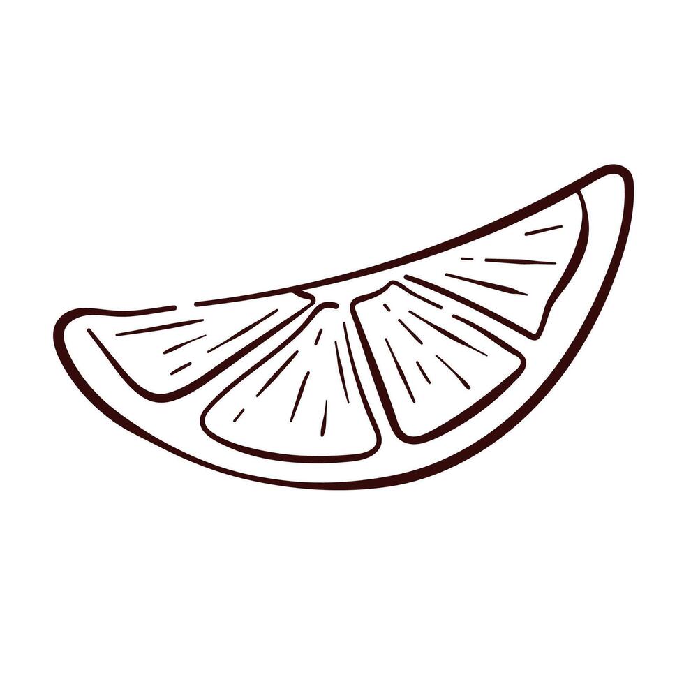 Lemon slice in line art style. Simple hand drawn citrus fruit illustration for botanical, menu, package, culinary and decorative design. Isolated on a white background. vector