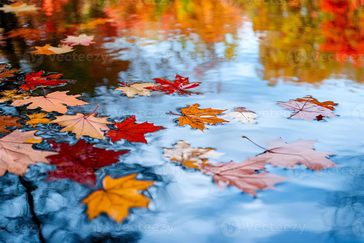 Autumn colors of red, orange, and yellow leaves reflecting in the calm river, creating a serene landscape photo