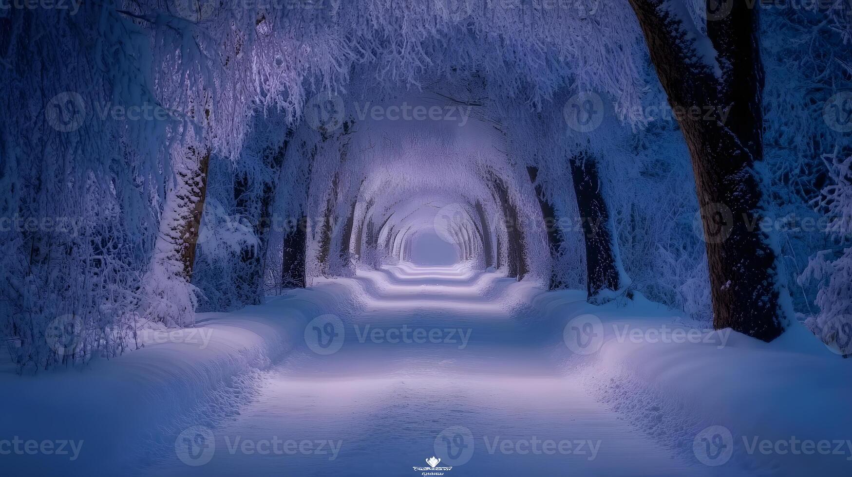 Snow-covered path lined with tall trees, branches heavily laden with fresh snow, creating a serene winter scene photo