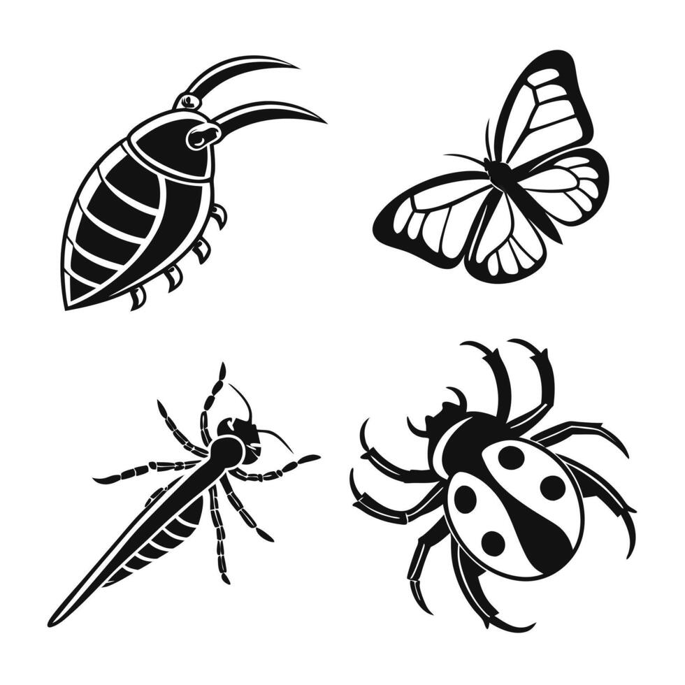 Insect Life Cycle Icons vector