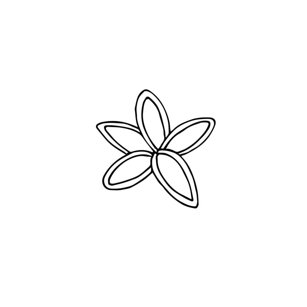 Hand drawn doodle sketch coconut flower isolated on white background vector