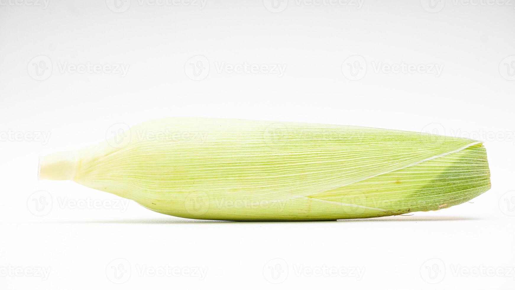 Ear of Corn with Husks on White Background photo