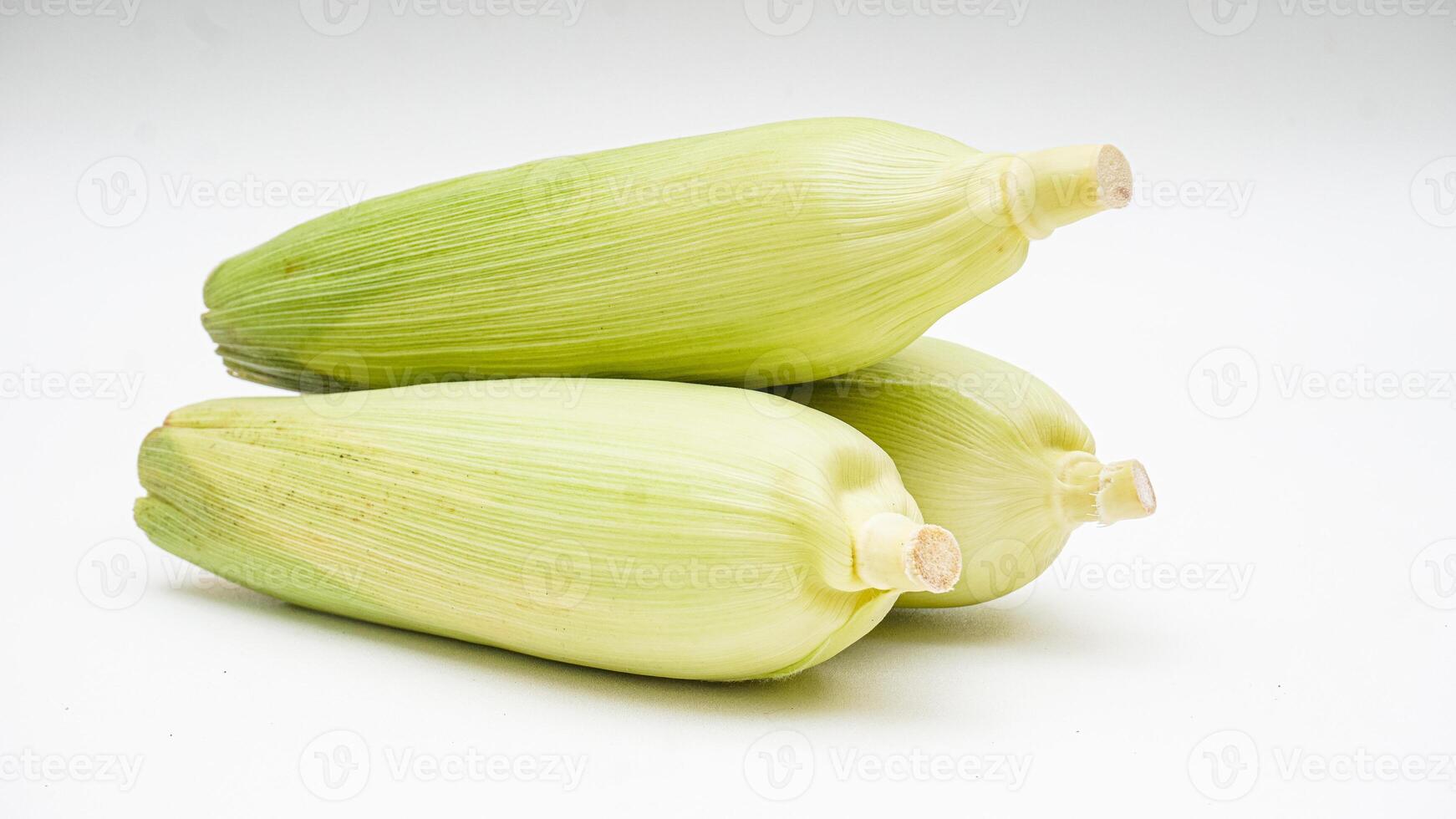 Three Ears of Corn with Husks on White Background photo