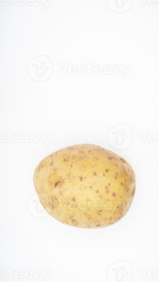 Ripe Potato on White Background photo