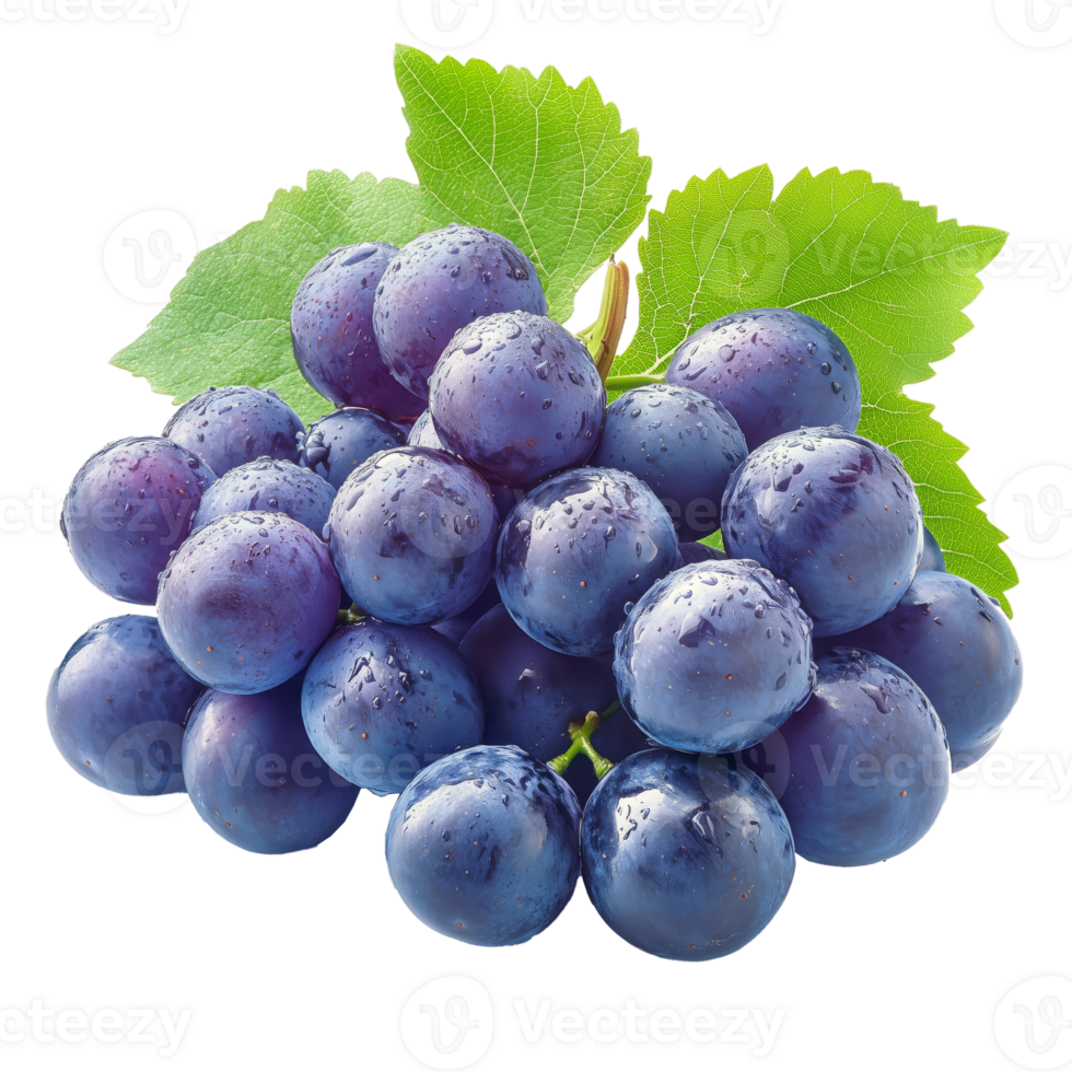 Fresh Ripe Purple Grapes With Dew Drops on a Green Leaf Under Natural Light in a Garden Setting png