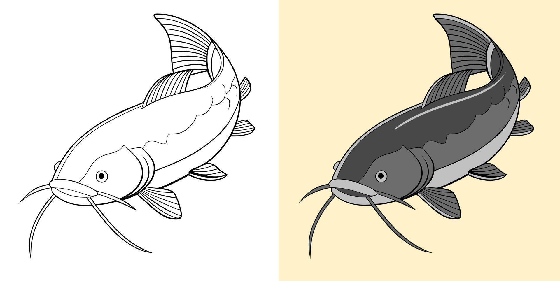 Detailed Illustration of a Catfish in Line Art and Colored Styles vector