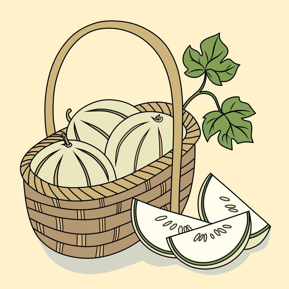 Melon in Basket Fresh Fruit vector