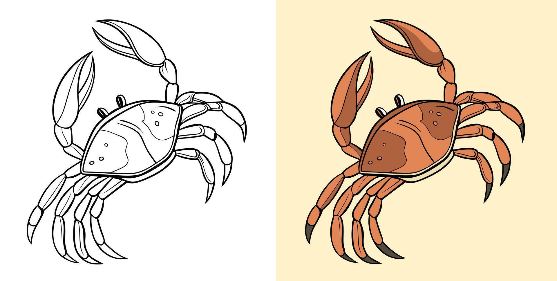 A crab illustration in two styles, an outline version and a colored version, showing detail and simplicity. vector