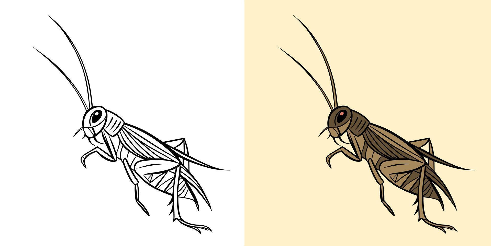 Illustration of a Cricket in Black and White and Colored Versions. vector