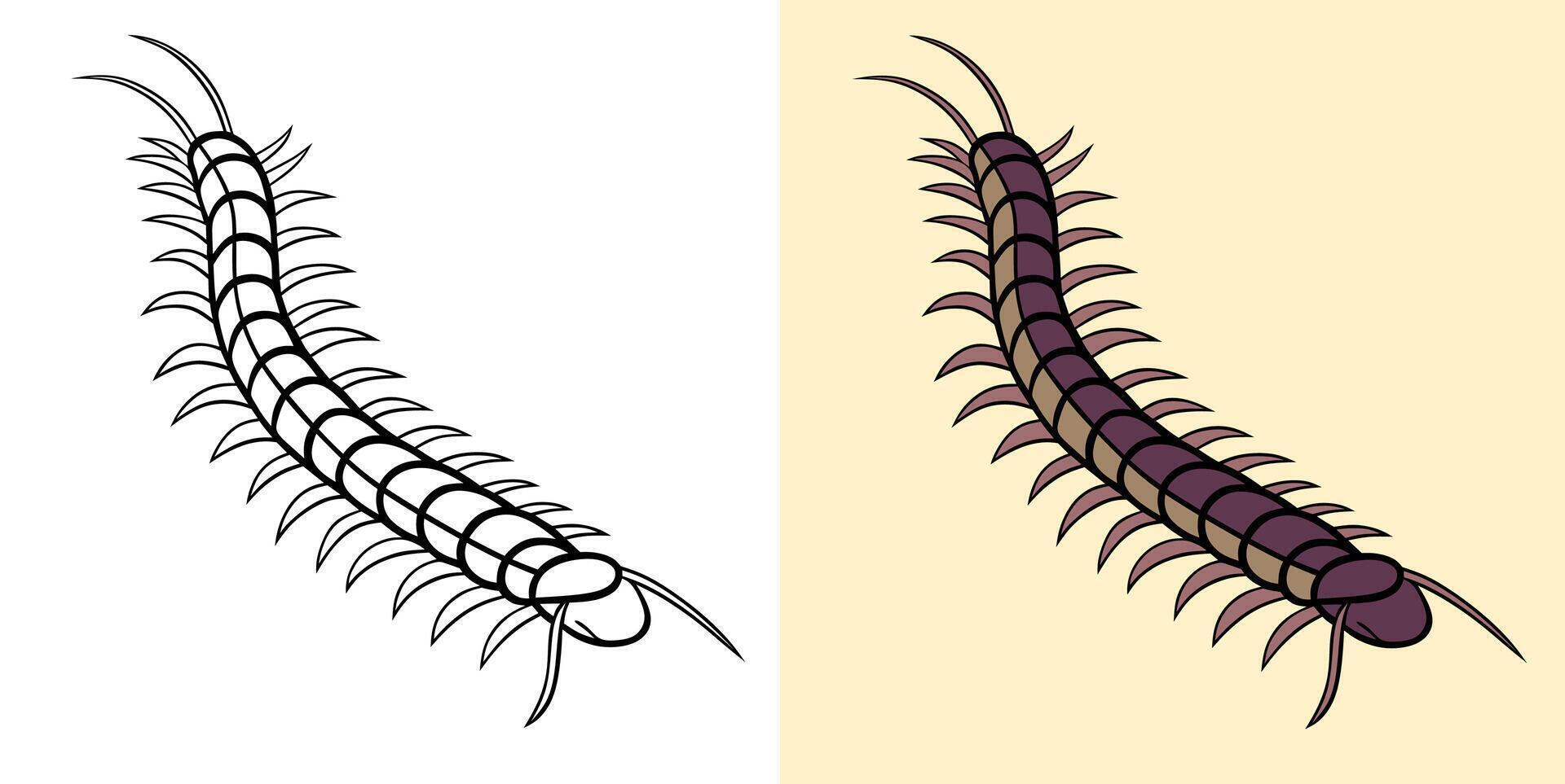 Illustration of a Centipede in Both Black and White and Colored Styles. vector