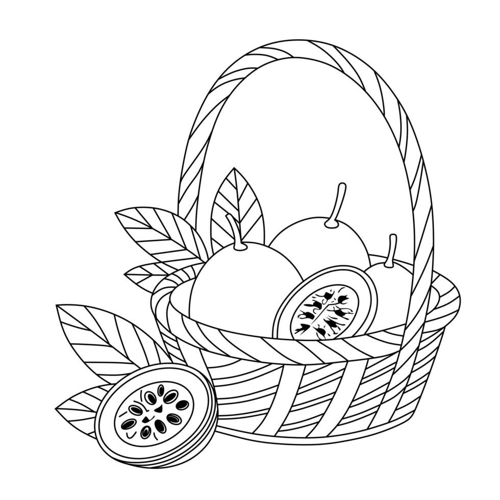 Line Art Passion Fruit in a Basket vector