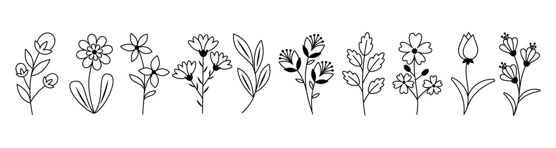 Set of black and white linear botanical illustrations of flowers and plants. Various Wildflowers and Leaves. For Coloring Pages, Botanical Designs, Wedding Invitations, Spring Nature-Themed Projects vector