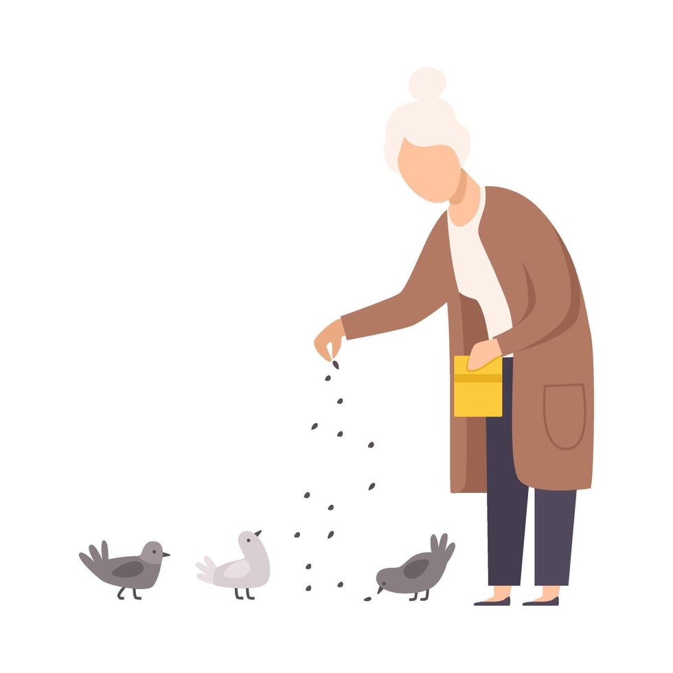 Senior Woman Standing and Feeding Pigeons Illustration vector