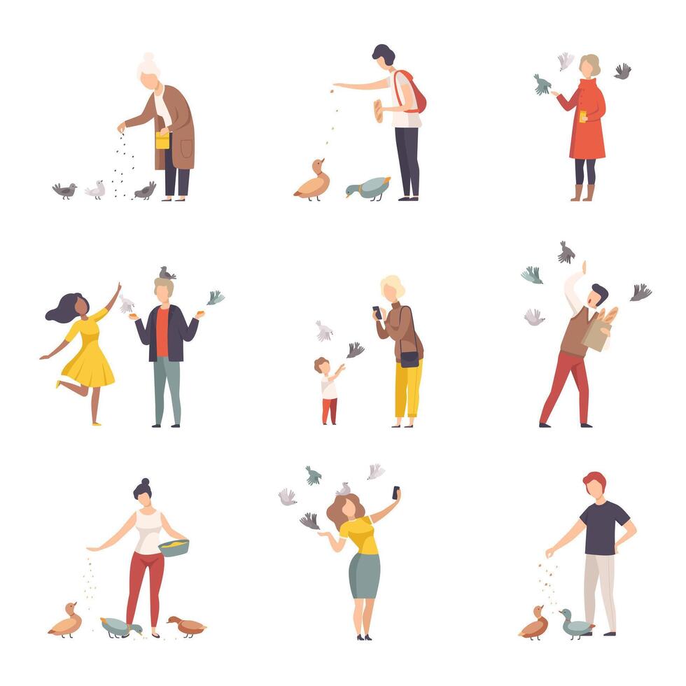 People Characters Walking and Feeding Pigeons on Town Squares Illustrations Set vector