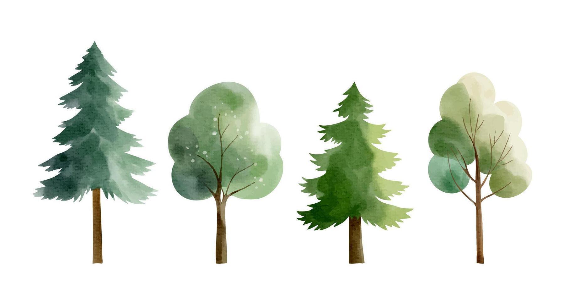 Set of watercolor trees. Hand drawn woodland. Pine, fir, oak, maple. Watercolor nature elements. vector