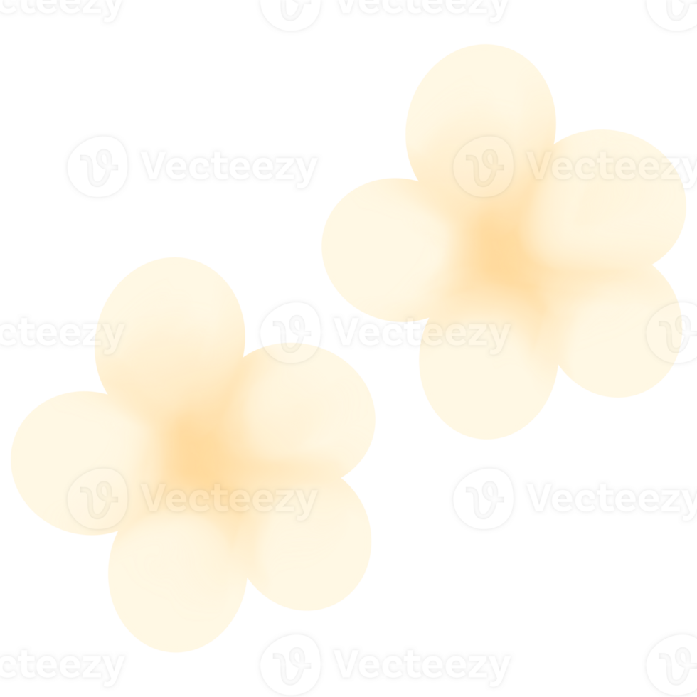 Two white frangipani flowers on transparent background png