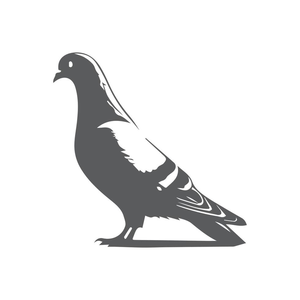 Pigeon in Monochrome vector