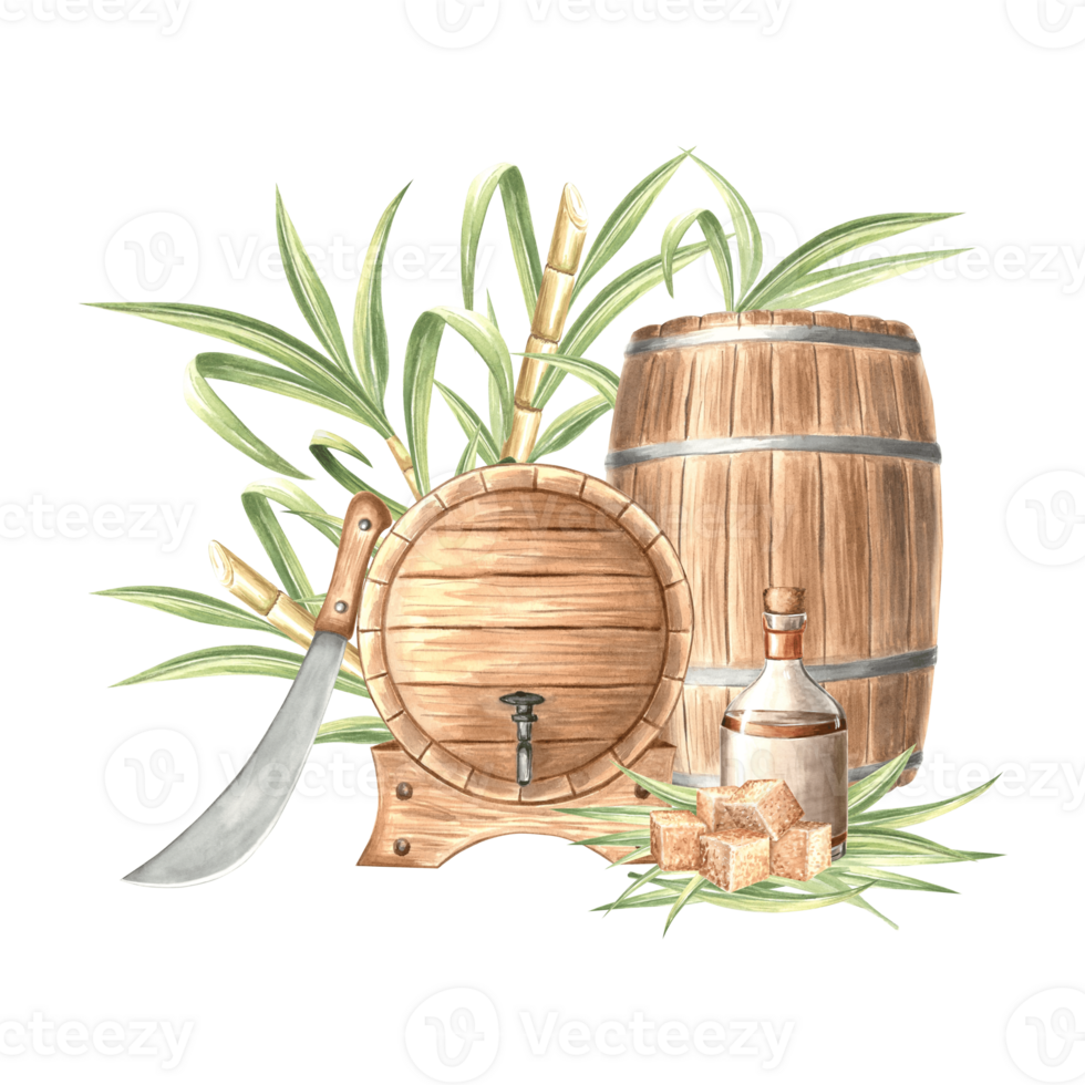 Wooden barrels and sugar cane. Bottle of rum and machete. Composition with alcoholic beverage. Hand drawn watercolor illustration isolated. Keg, oak cask of whiskey. Clipart for food design, packaging png