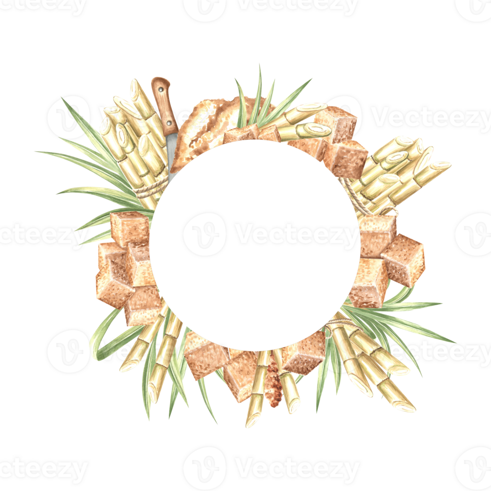 Sugar cane stalks with leaves and brown sugar cubes. Template postcard, border with copy space. Hand drawn watercolor illustration isolate. Round frame of plantation harvest. Clipart for food design. png