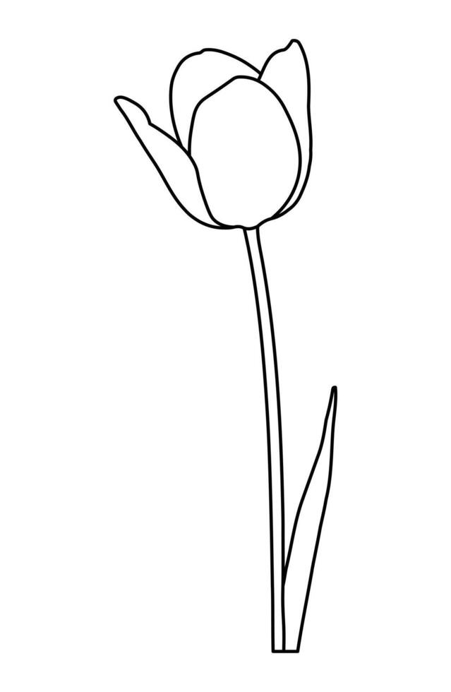 Silhouette of spring flower tulip isolated on a white background vector