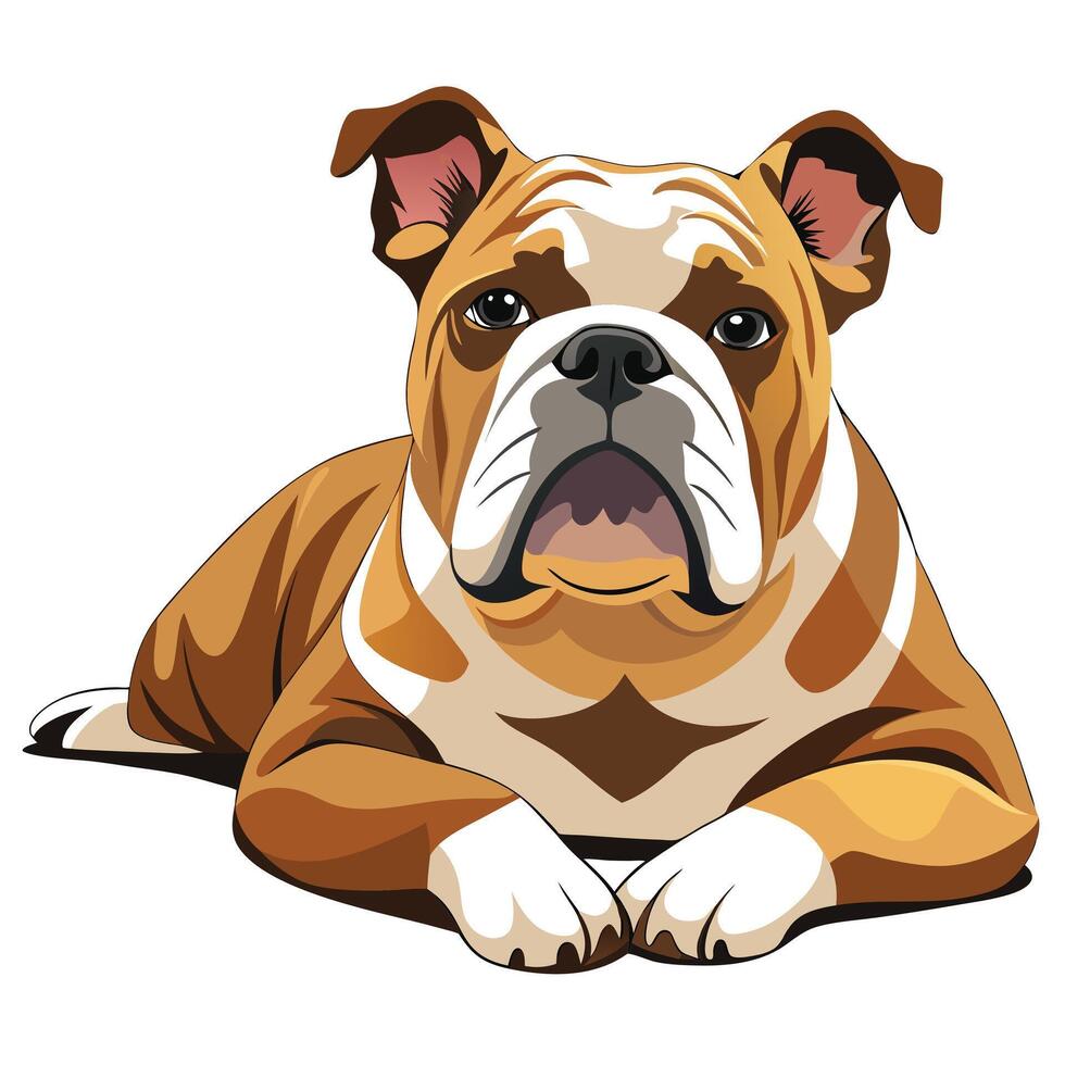 An illustration of a bulldog dog vector
