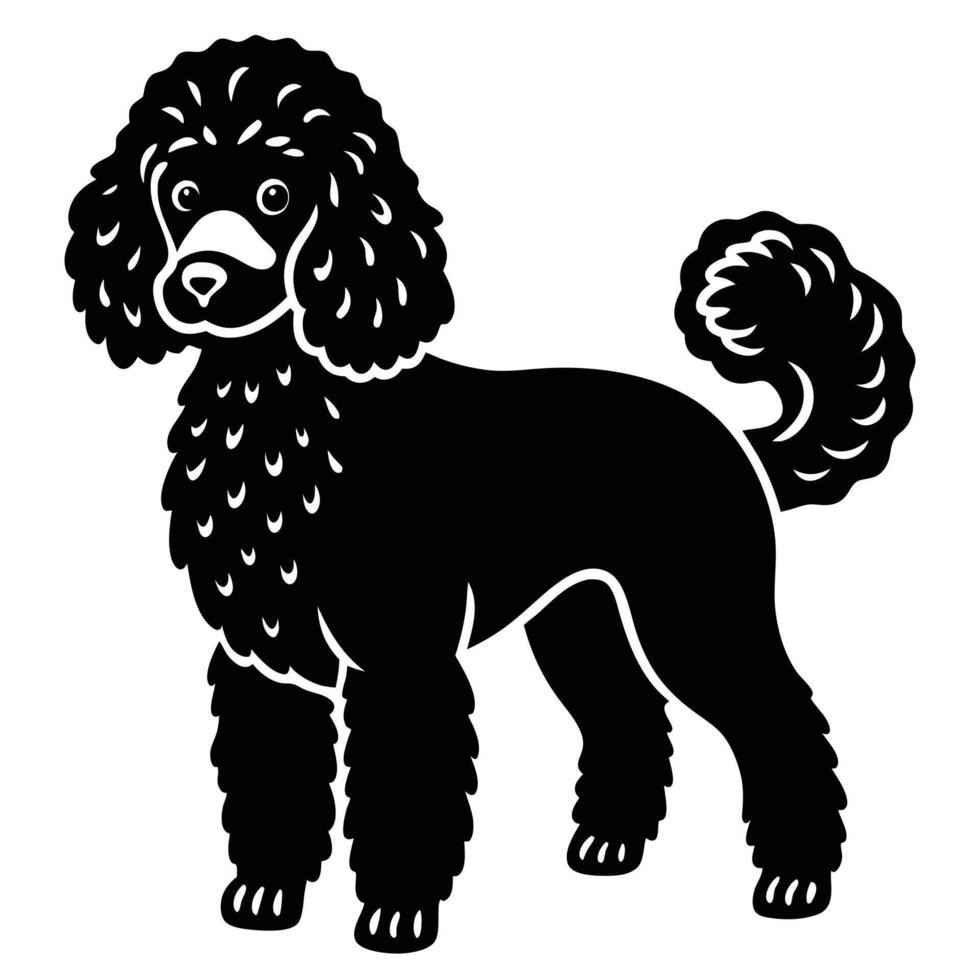 A black and white poodle dog on a white background vector