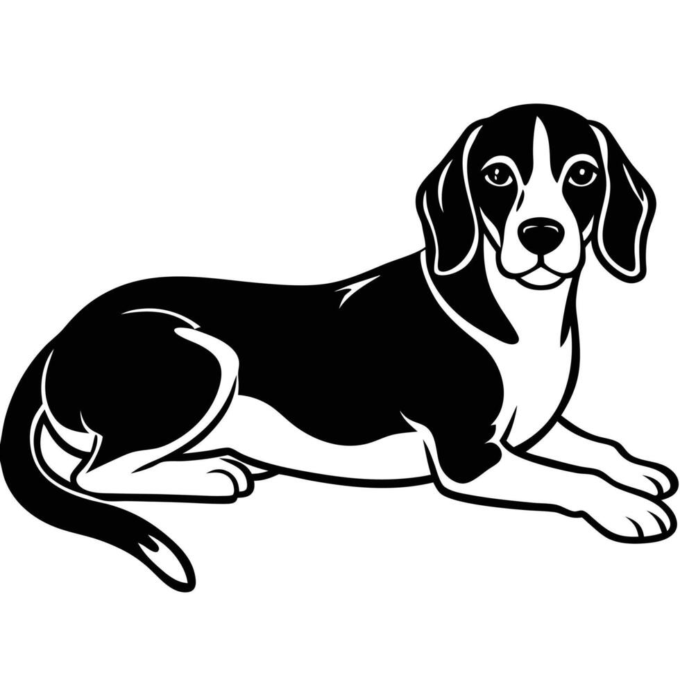 Beagle dog illustration vector