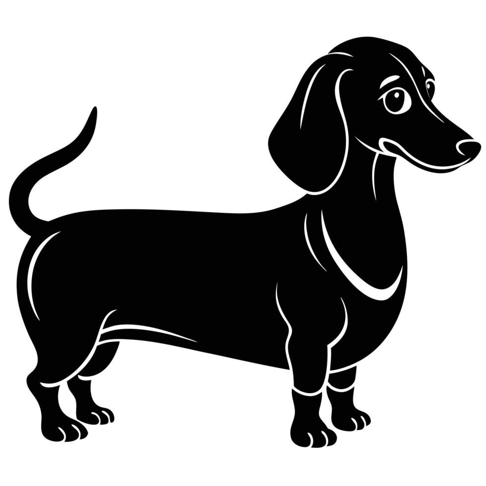 A black and white illustration of a dachshund vector