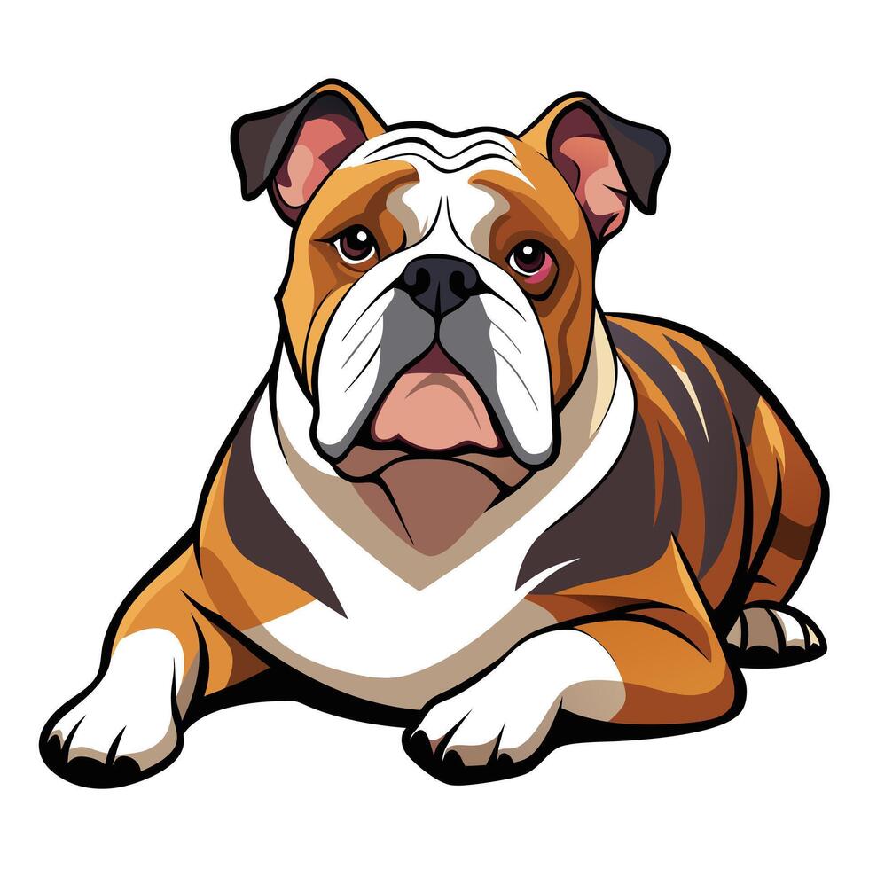 An english bulldog is sitting down on a white background vector