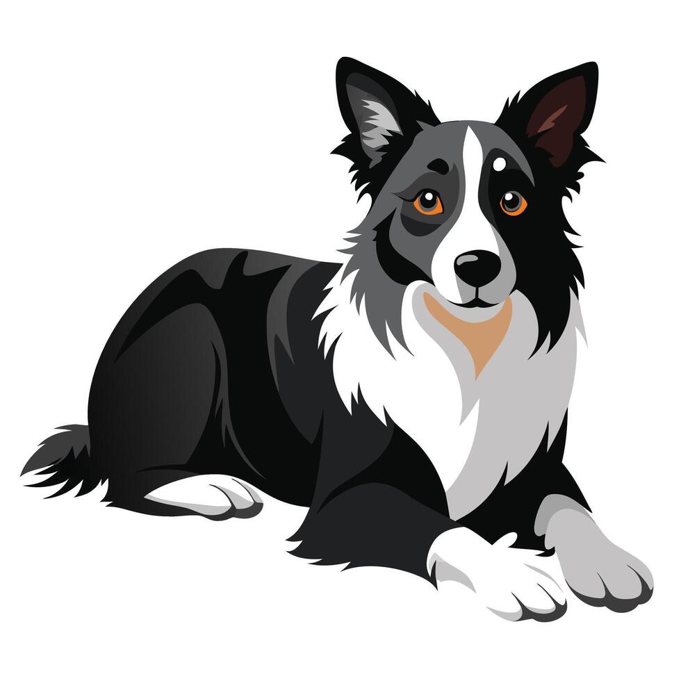 A black and white dog with orange eyes vector