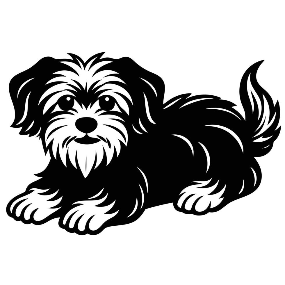 A black and white dog with a long tail vector