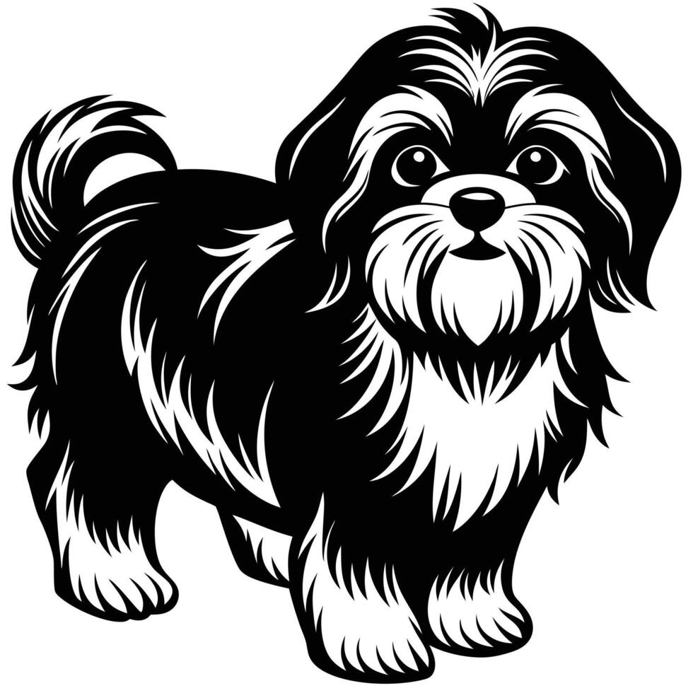 Shih tzu dog clip art vector